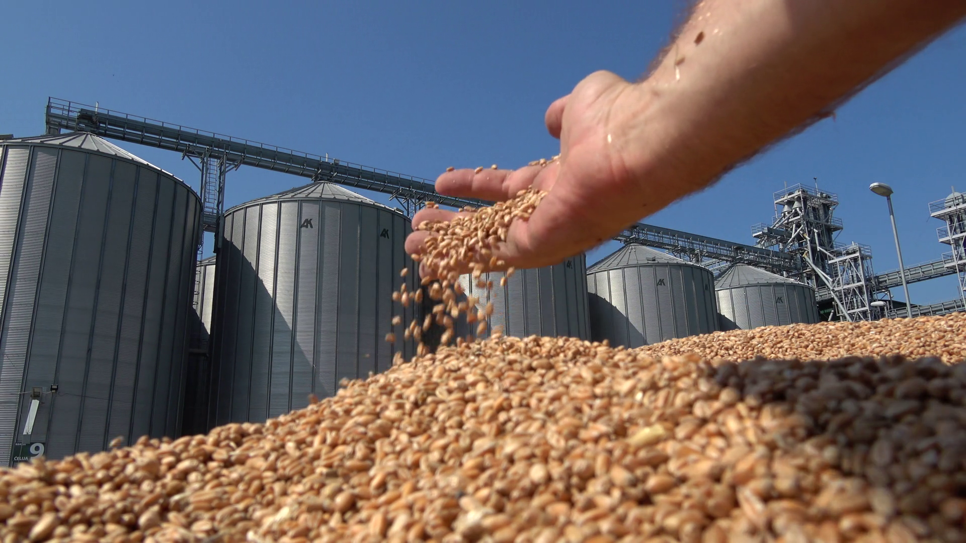 10 тыс тонн. Силос зерновой 700тн. Экспорт зерна. Отгрузка зерна. Хранение и переработка зерна.